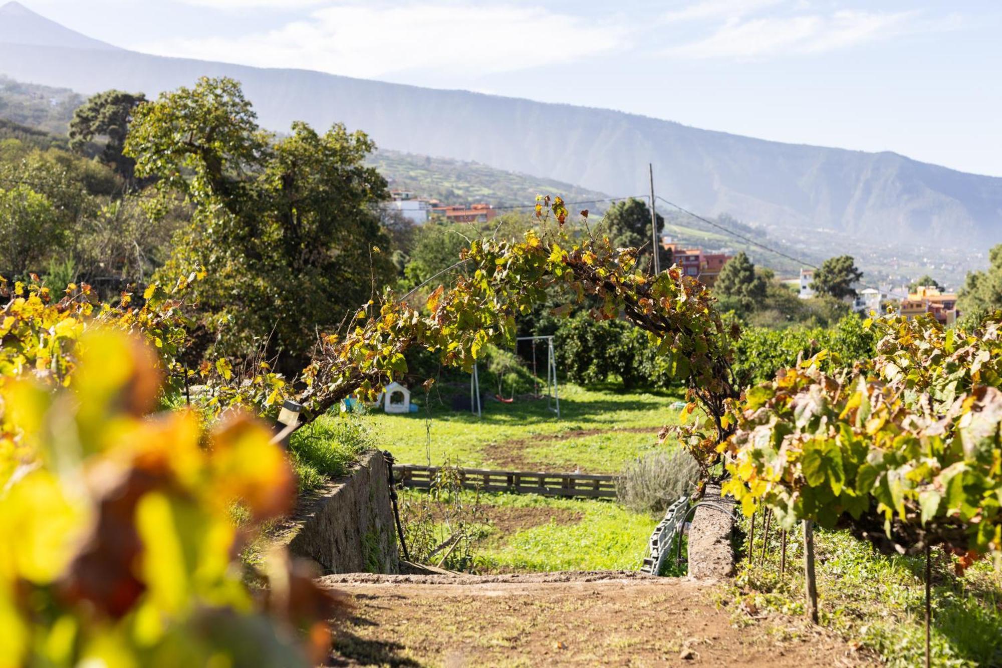 Ek Las Vistas Finca El Milagro Ля Оротава Экстерьер фото