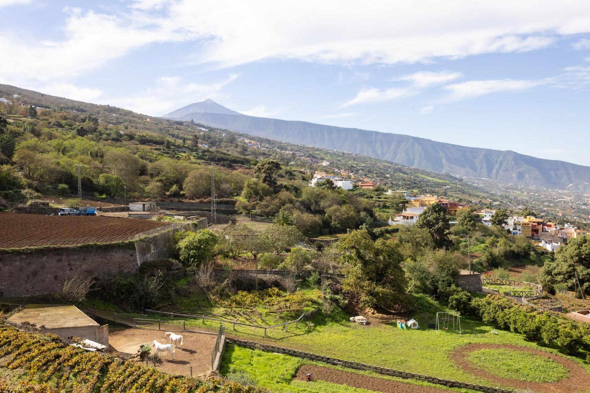 Ek Las Vistas Finca El Milagro Ля Оротава Экстерьер фото