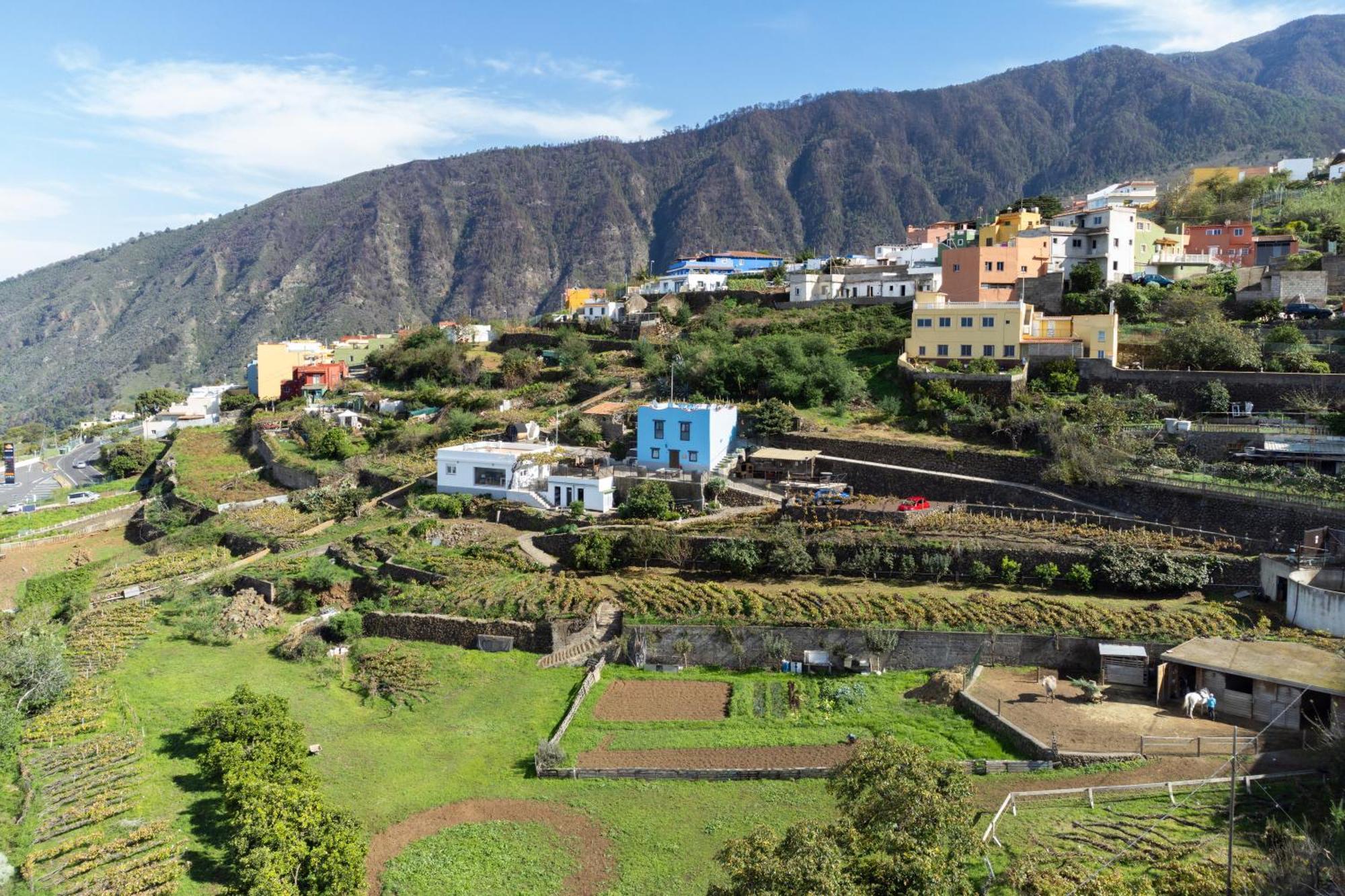 Ek Las Vistas Finca El Milagro Ля Оротава Экстерьер фото