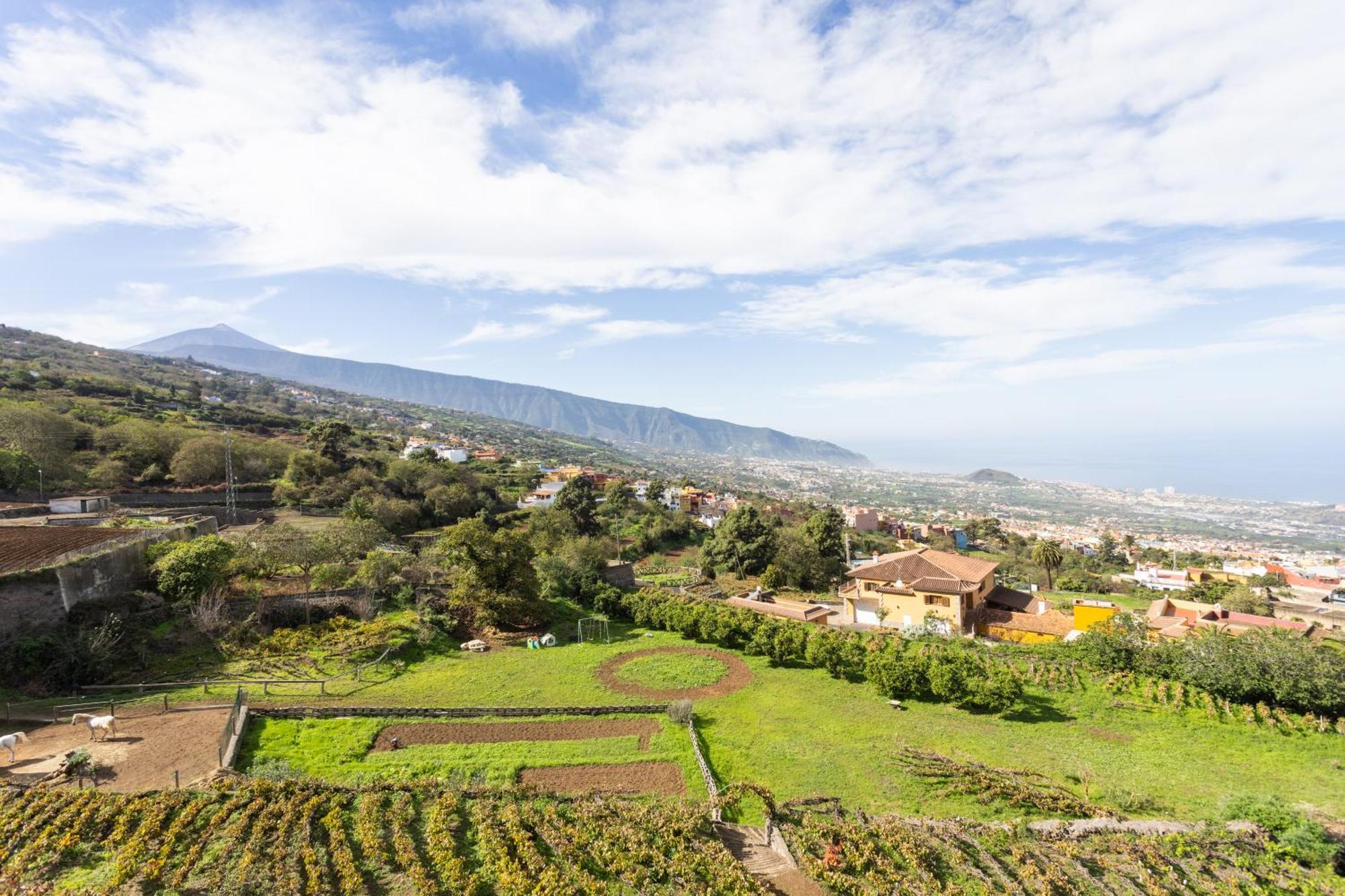 Ek Las Vistas Finca El Milagro Ля Оротава Экстерьер фото