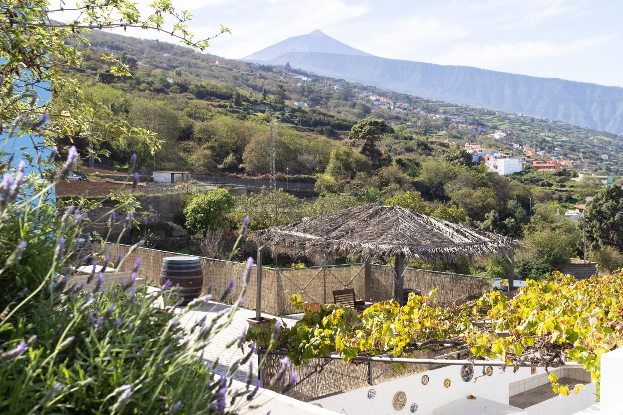 Ek Las Vistas Finca El Milagro Ля Оротава Экстерьер фото